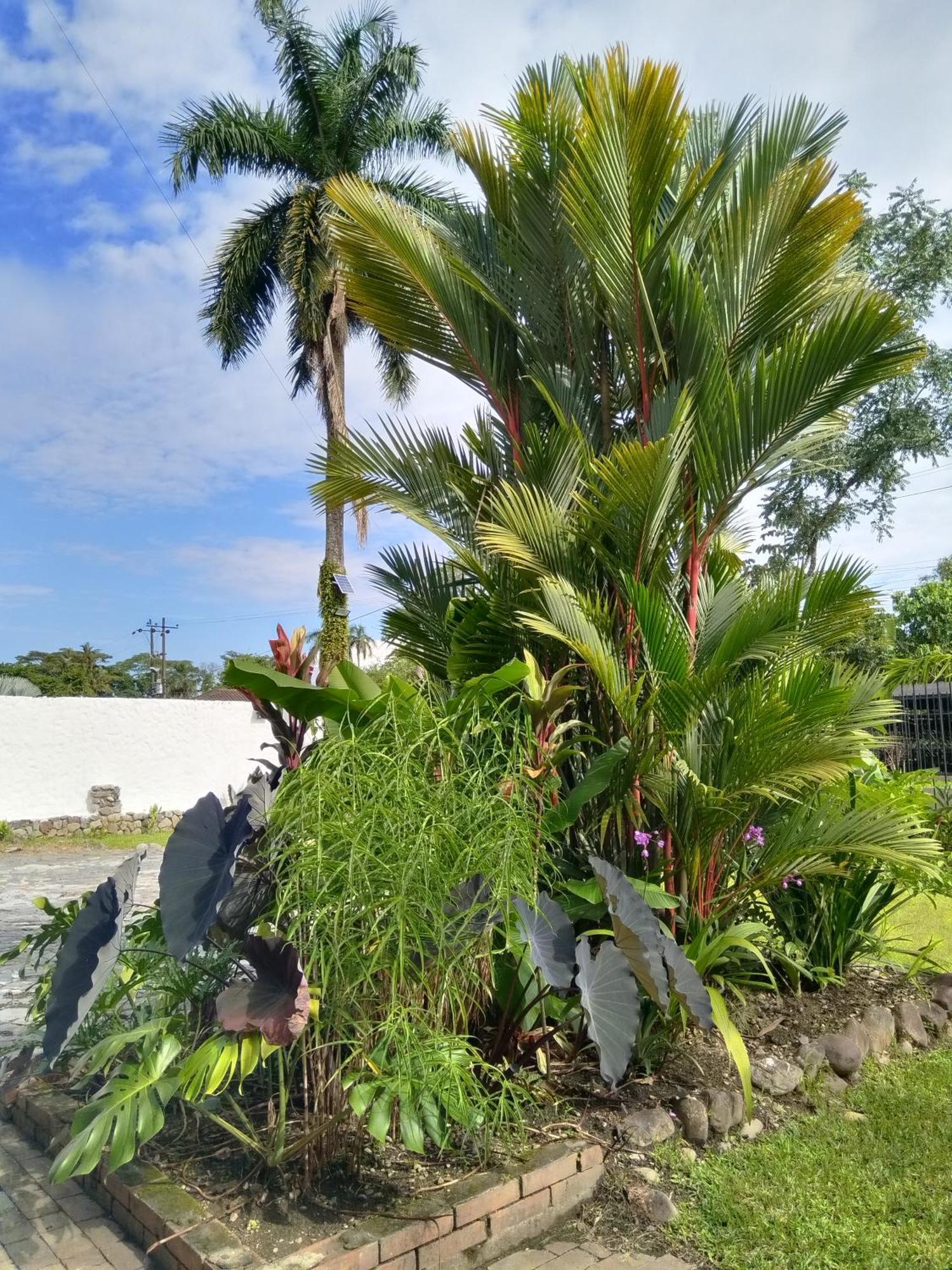 Doral House Villavicencio Bavaria Esterno foto